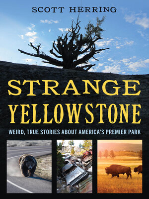 cover image of Strange Yellowstone